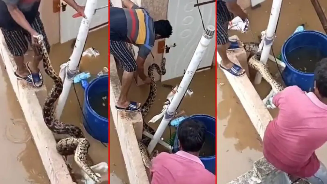 ಮನೆಗೆ ಎಂಟ್ರಿಕೊಟ್ಟ ದೈತ್ಯ ಹೆಬ್ಬಾವು.. ಬೆಚ್ಚಿಬಿದ್ದ ಮನೆಮಂದಿ.. ಈ ಮಳೆಯಿಂದ ಏನೆಲ್ಲ ಅನಾಹುತ ಆಗುತ್ತೋ..!