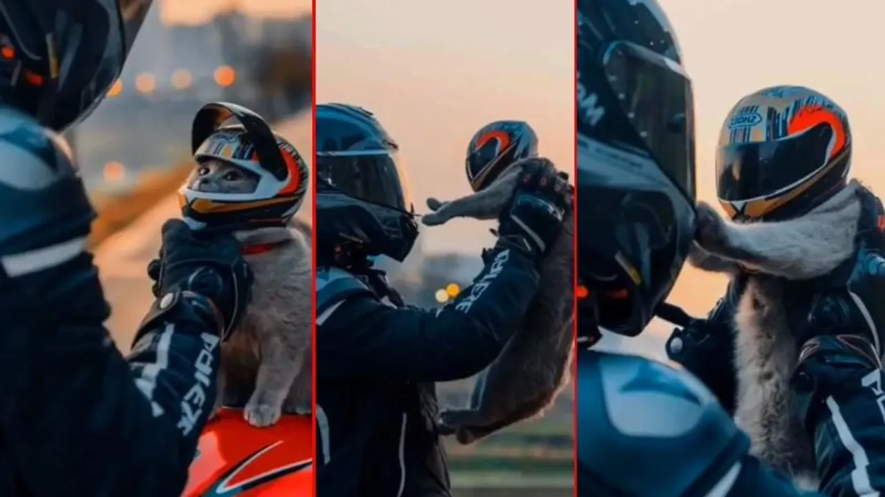 WATCH: ಕ್ಯೂಟ್‌ ಕ್ಯಾಟ್‌ಗೂ ಮಸ್ತ್​ ಹೆಲ್ಮೆಟ್.. ತನ್ನ ಮಾಲೀಕನ ಜೊತೆ ಬೆಕ್ಕಿನ ಬೈಕ್​ ಸವಾರಿ ಹೇಗಿದೆ ನೋಡಿ