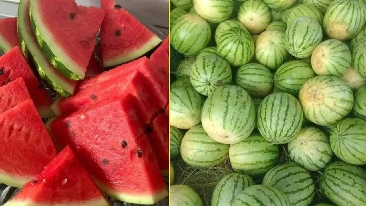 ಬೇಸಿಗೆಯಲ್ಲಿ ಫ್ರಿಡ್ಜ್​ನಲ್ಲಿಟ್ಟ ಕಲ್ಲಂಗಡಿ ಹಣ್ಣು ತಿನ್ನೋ ಮುನ್ನ ಎಚ್ಚರ! ಓದಲೇಬೇಕಾದ ಸ್ಟೋರಿ