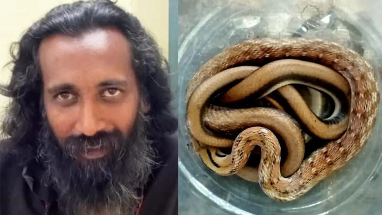 ಈ ವಿಷ ಕೊಟ್ರೆ ಕೋಟಿ ಕೋಟಿ ದುಡ್ಡು.. ಅದಕ್ಕಾಗಿ 9 ಹಾವು ಸಾಕಿ ಸಿಕ್ಕಿಬಿದ್ದ ನರ ರಾಕ್ಷಸ..!