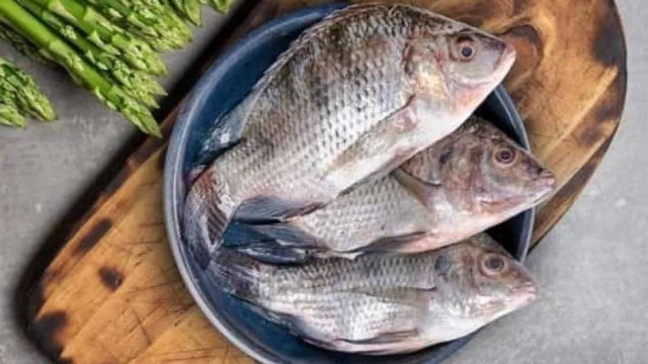 ಈ ಮೀನು ತಿನ್ನುವ ಮುನ್ನ ಎಚ್ಚರ..! ಕೋಮಾಗೆ ಜಾರಿದ ಮಹಿಳೆ, ದೇಹದ 4 ಅಂಗಗಳು ಢಮಾರ್