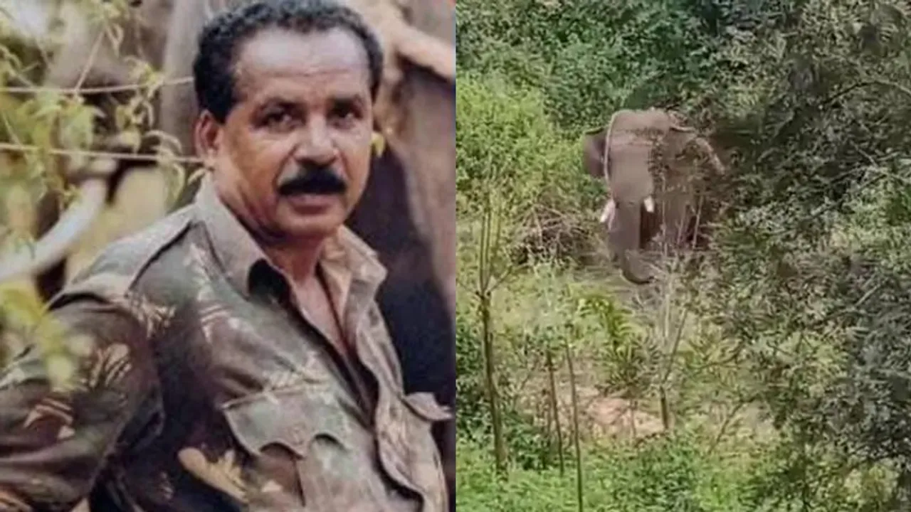 ಭೀಮ ಬದುಕುವುದು ಕಷ್ಟ.. ಶಾರ್ಪ್ ಶೂಟರ್ ವೆಂಕಟೇಶ್ ಹತ್ಯೆ ಬಳಿಕ ಕಾಡಾನೆಯ ನರಳಾಟ