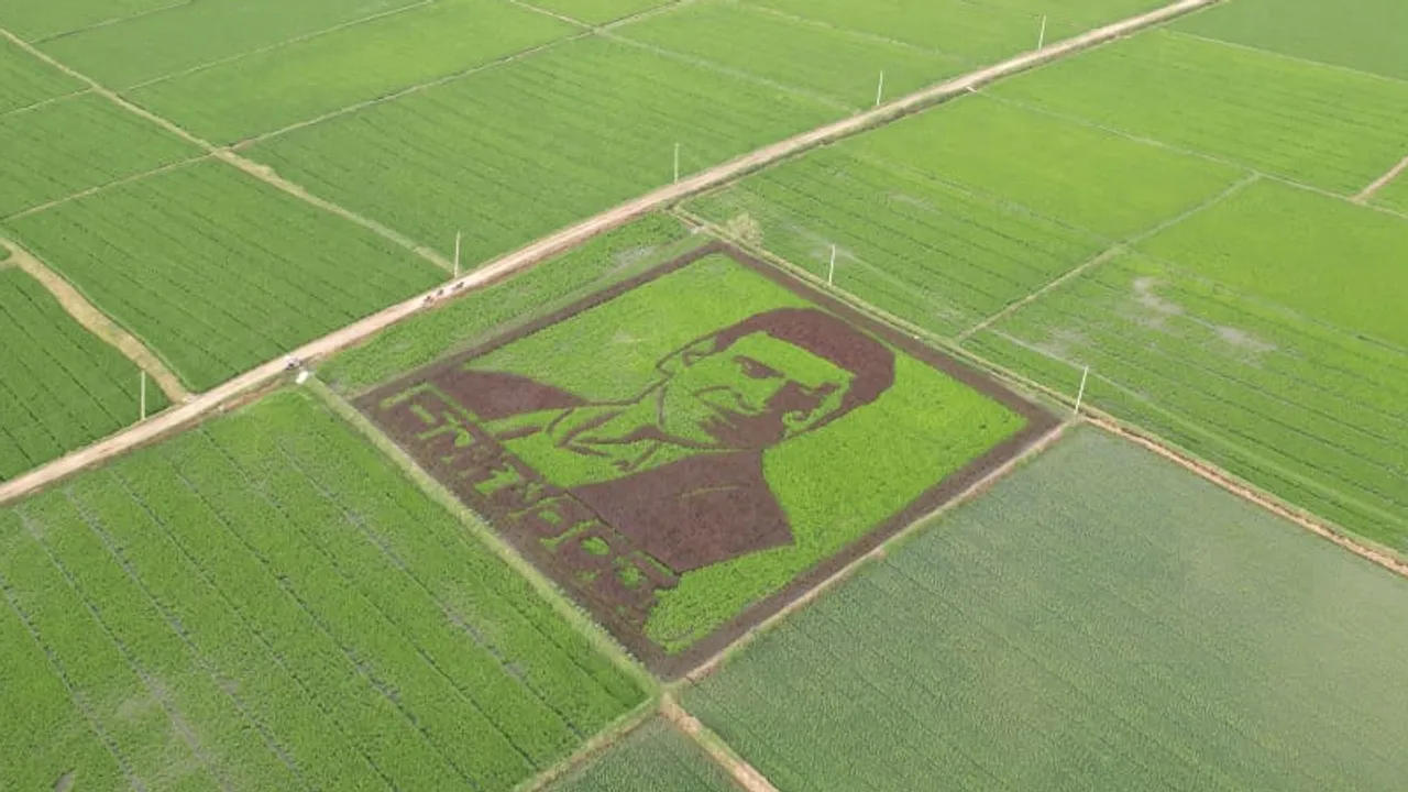 PHOTOS: ಭತ್ತದ ಬೆಳೆಯಲ್ಲಿ ಮೂಡಿದ ಕರ್ನಾಟಕ ರತ್ನ ಅಪ್ಪು ಭಾವಚಿತ್ರ; ರೈತನ ಕಲೆಗೆ ಫ್ಯಾನ್ಸ್​ ಫಿದಾ!