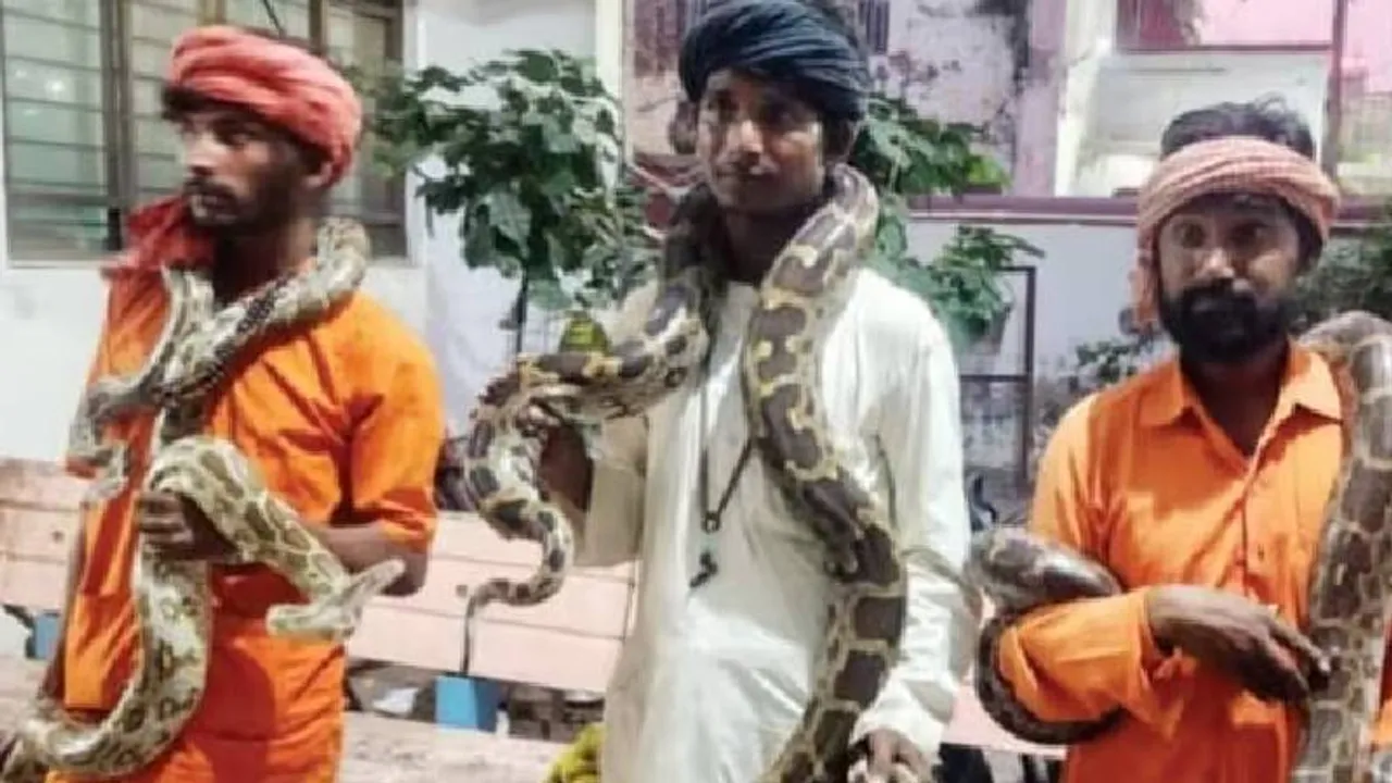 ಹಾವು, ಅವುಗಳ ವಿಷವನ್ನು ಲಕ್ಷಾಂತರ ರೂ.ಗೆ ಮಾರಾಟ.. ಭಯಾನಕವಾಗಿದೆ ಇವರ ಕಥೆ..!