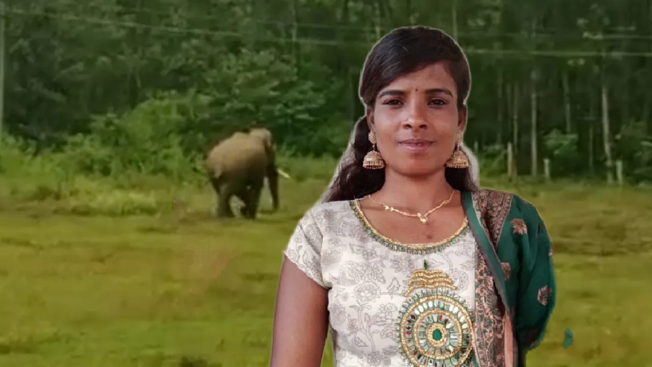 ಚಿಕ್ಕಮಗಳೂರಲ್ಲಿ ಕಾಡಾನೆ ದಾಳಿಗೆ ಮತ್ತೋರ್ವ ಮಹಿಳೆ ಬಲಿ; ಅರಣ್ಯ ಇಲಾಖೆ ವಿರುದ್ಧ ಭಾರೀ ಆಕ್ರೋಶ