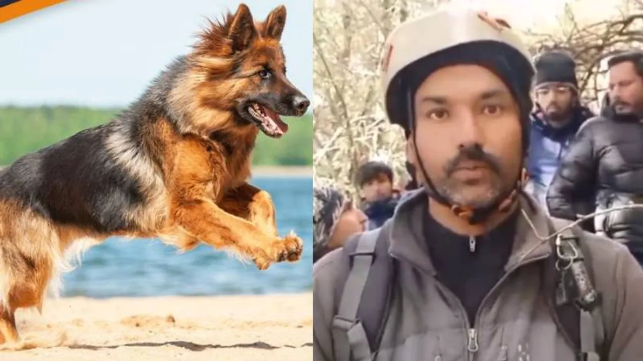 ಹಿಮಪಾತದಲ್ಲಿ ಕರುಣಾಜನಕ ಕಥೆ.. 2 ದಿನಗಳಾದ್ರೂ ಮಾಲೀಕನ ಶವ ಬಿಟ್ಟು ಹೋಗದೆ ಕಾಯುತ್ತಿದ್ದ ಶ್ವಾನ