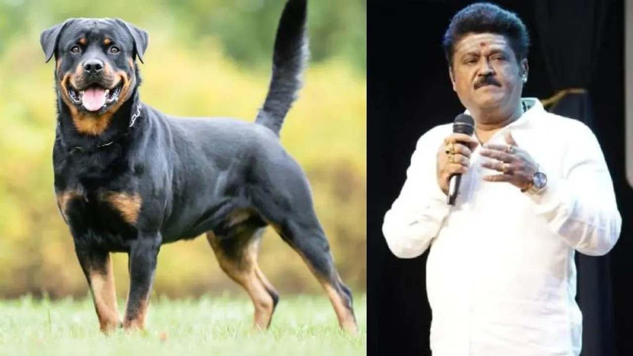 ಹೋಗಿ ಬಾ ಭೈರವ.. ಇಡೀ ಕುಟುಂಬದ ಪ್ರೀತಿಯ ನಾಯಿ ಸಾವಿಗೆ ನಟ ಜಗ್ಗೇಶ್‌ ಕಣ್ಣೀರು