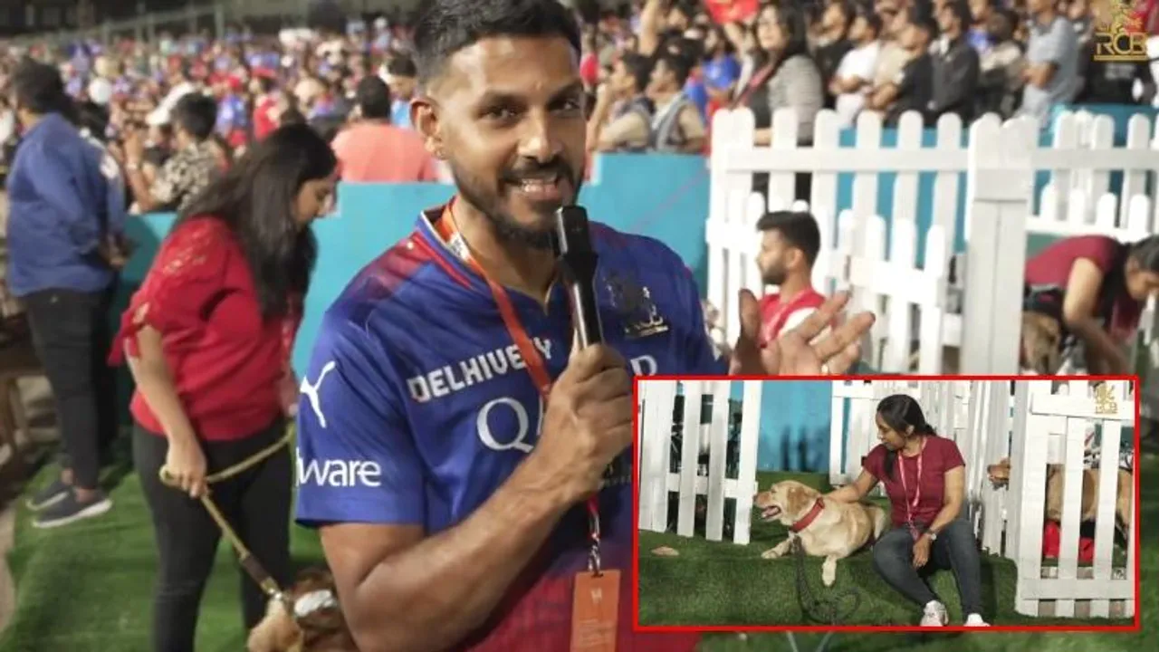 ಮುಂಬೈ ಇಂಡಿಯನ್ಸ್​ಗೆ ಮತ್ತೊಂದು ಆಘಾತ, ಶ್ವಾನ ಪ್ರಿಯರಿಗೆ ಗುಡ್​ನ್ಯೂಸ್​ ಕೊಟ್ಟ RCB.. ಏನದು..?