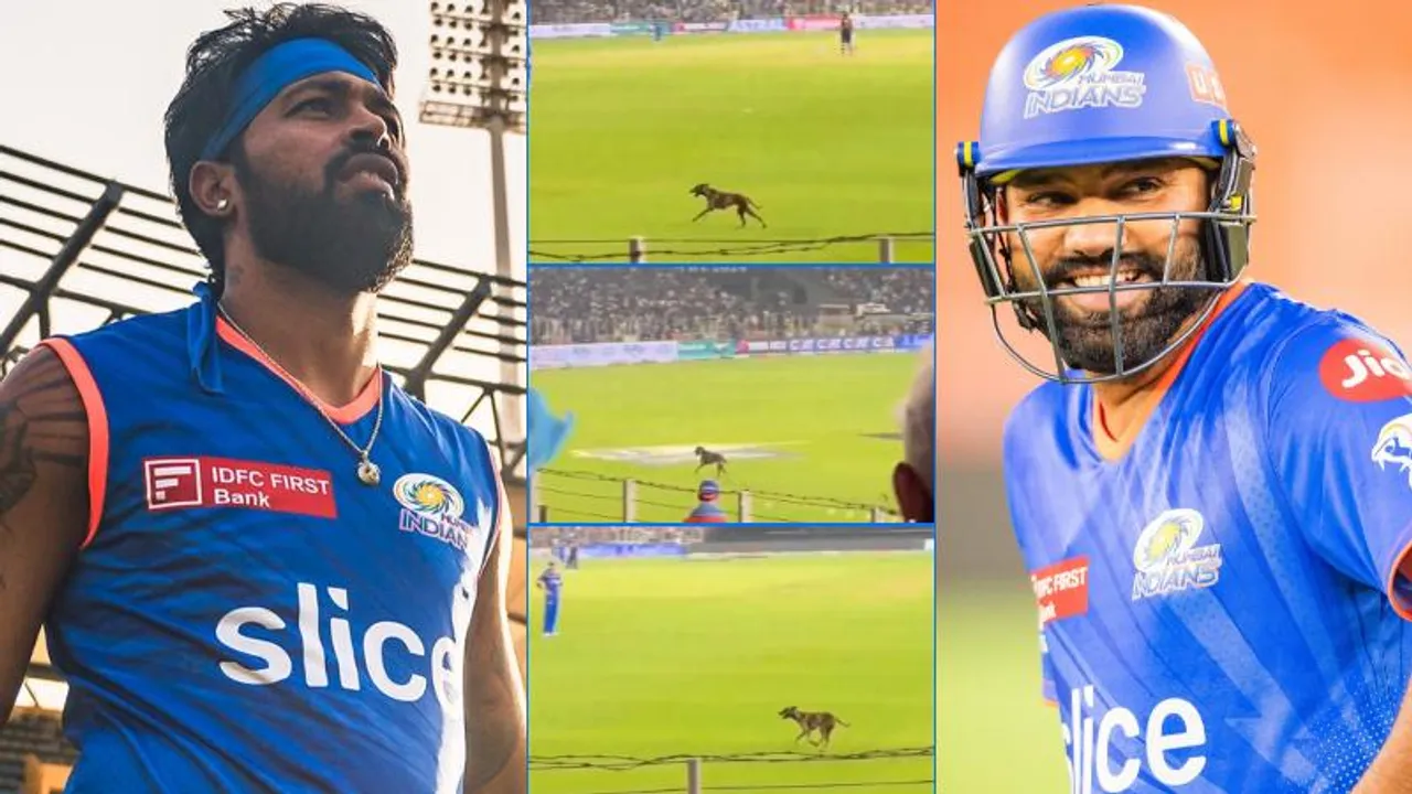 ಮುಂಬೈ ಫೀಲ್ಡಿಂಗ್​ ಮಾಡುವಾಗ ಮೈದಾನಕ್ಕೆ ನುಗ್ಗಿದ ನಾಯಿ, ಹಾರ್ದಿಕ್.. ಹಾರ್ದಿಕ್ ಅಂತ ಕೂಗಿದ ರೋಹಿತ್ ಫ್ಯಾನ್ಸ್​