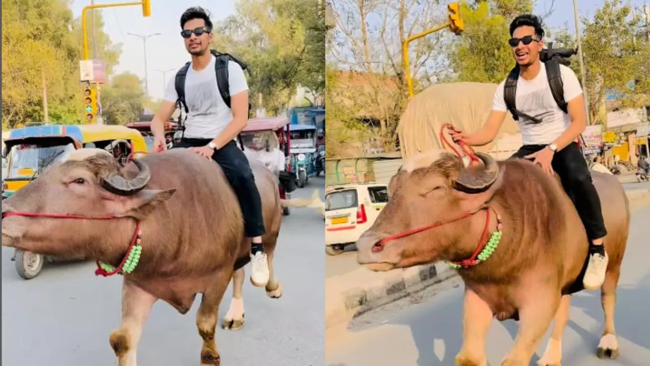 VIDEO: ಭಾರೀ ಟ್ರಾಫಿಕ್​ ಮಧ್ಯೆಯೂ ಬುಲ್​ ರೈಡಿಂಗ್​ ಮಾಡಿದ ಯುವಕ; ನೆಟ್ಟಿಗರಿಂದ ಆಕ್ರೋಶ