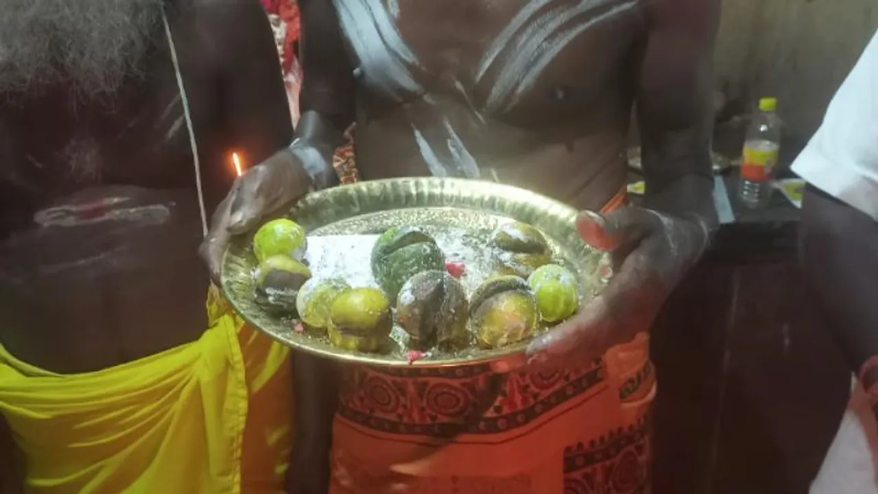ಅರೇ ಏನಪ್ಪಾ ಇದು! ಕೇವಲ 9 ನಿಂಬೆಹಣ್ಣು 2.3 ಲಕ್ಷಕ್ಕೆ ಹರಾಜು; ಜನ ಮುಗಿ ಬೀಳೋದೇಕೆ ಗೊತ್ತಾ?