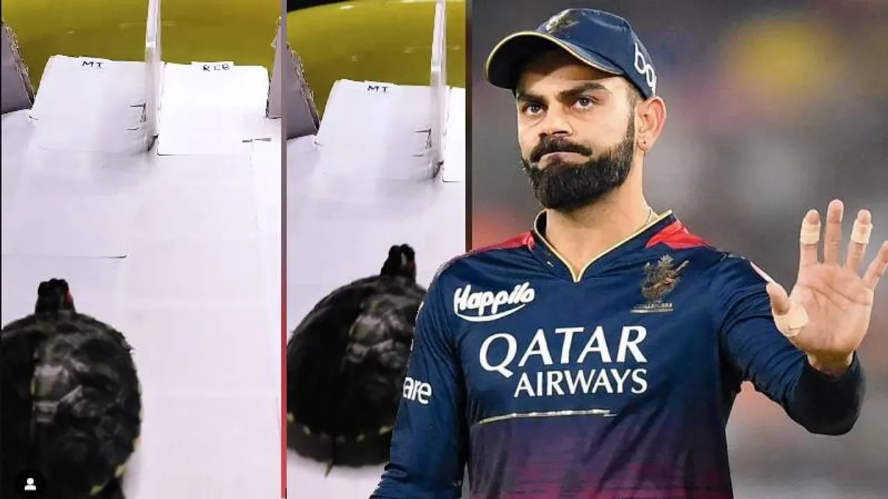 RCB vs MI: ಇಂದಿನ ಮ್ಯಾಚ್​ ಬಗ್ಗೆ ಭವಿಷ್ಯ ನುಡಿದ ಆಮೆ! ಆರ್​ಸಿಬಿ ಕತೆ ಏನು? ವಿಡಿಯೋ ನೋಡಿ