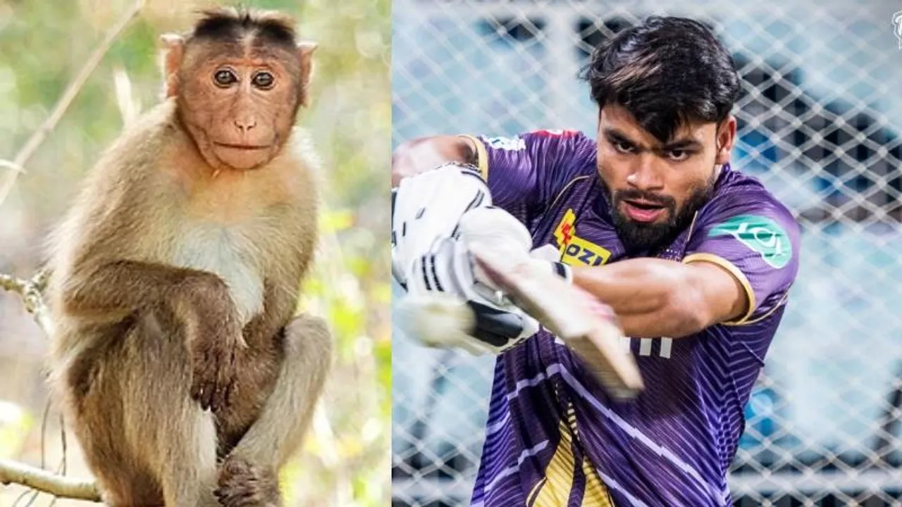 Rinku Singh: ಮಂಗ ಕಚ್ಚಿದೆ -ಶಾಕಿಂಗ್ ವಿಚಾರ ತಿಳಿಸಿದ ರಿಂಕು ಸಿಂಗ್..!