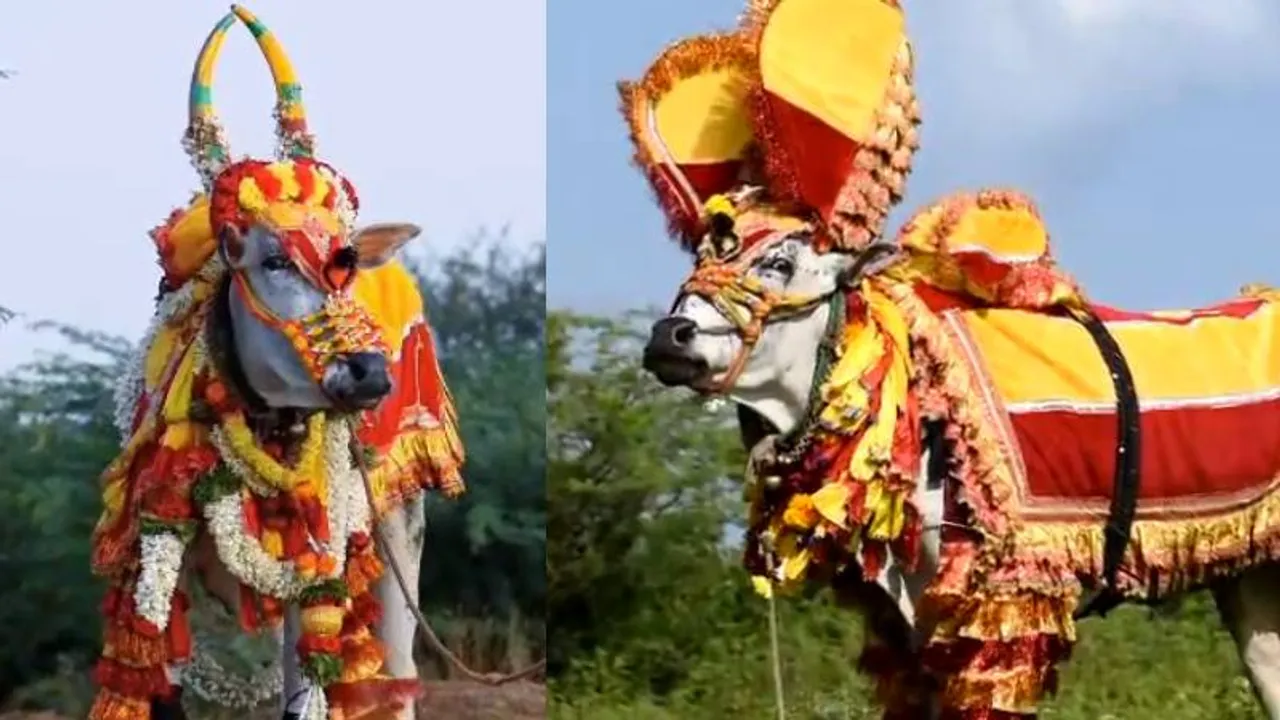 ಮಣ್ಣಲ್ಲಿ ಮಣ್ಣಾದ ಉತ್ತರ ಕರ್ನಾಟಕದ ರಾಕ್ ಸ್ಟಾರ್.. ಲಕ್ಷಾಂತರ ಅಭಿಮಾನಿಗಳಿಂದ ನೋವಿನ ವಿದಾಯ