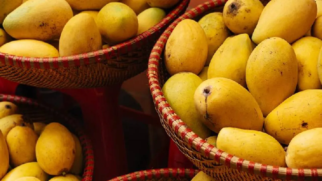 ಇದು ಮಾವಿನ ಹಣ್ಣಿನ ಸೀಸನ್​.. ತಿನ್ನೋದು ಮಿಸ್​ ಮಾಡಿದ್ರೆ ನಿಮ್ಮ ಆರೋಗ್ಯಕ್ಕೆ ನಷ್ಟ!