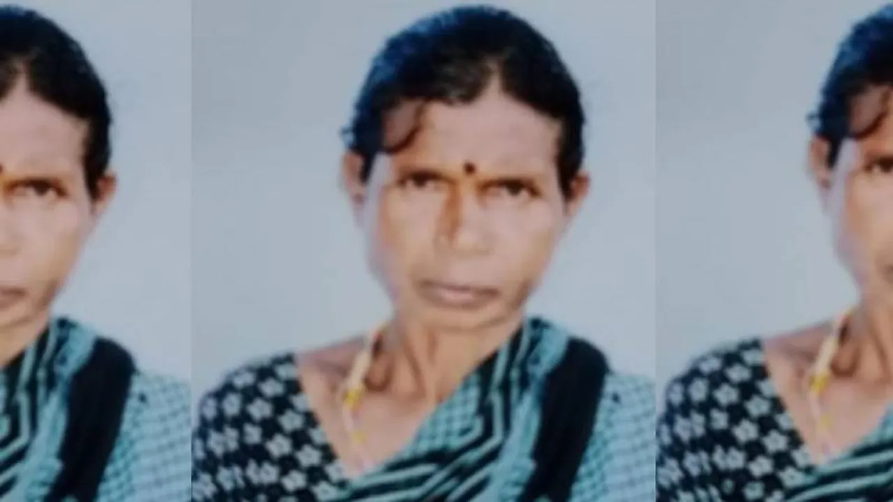 ಮೇಕೆ ಮೇಯಿಸುತ್ತಿದ್ದ ಮಹಿಳೆ ಮೇಲೆ ಹುಲಿ ದಾಳಿ.. ವ್ಯಾಘ್ರ ತಿಂದು ತೇಗಿದ ಮೃತದೇಹಕ್ಕಾಗಿ ಹುಡುಕಾಟ 