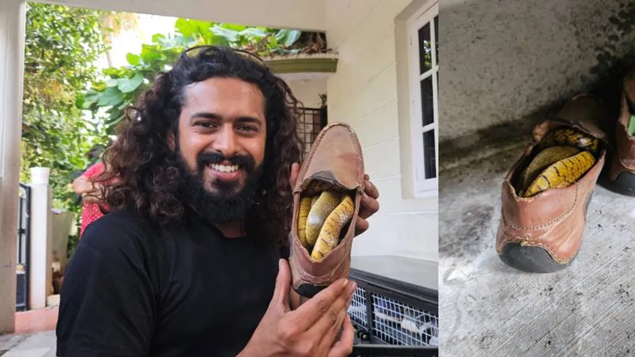 ಸಿಲಿಕಾನ್​ ಸಿಟಿ ಮಂದಿಗೆ ಹಾವುಗಳ ಕಾಟ! ವಿಷಜಂತುಗಳು ಕಂಡ್ರೆ ಈ ಸಹಾಯವಾಣಿಗೆ ಕರೆ ಮಾಡಿ