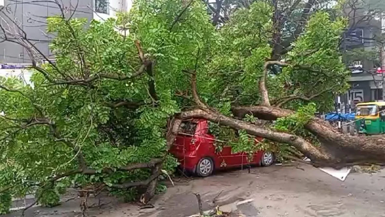 Bengaluru: ಚಲಿಸುತ್ತಿದ್ದ ಕಾರು ಮತ್ತು ಆಟೋ ಮೇಲೆ ಬಿದ್ದ ಮರ.. ಘಟನೆ ನಡೆದಿದ್ದೆಲ್ಲಿ? ಏನಾಯ್ತು?