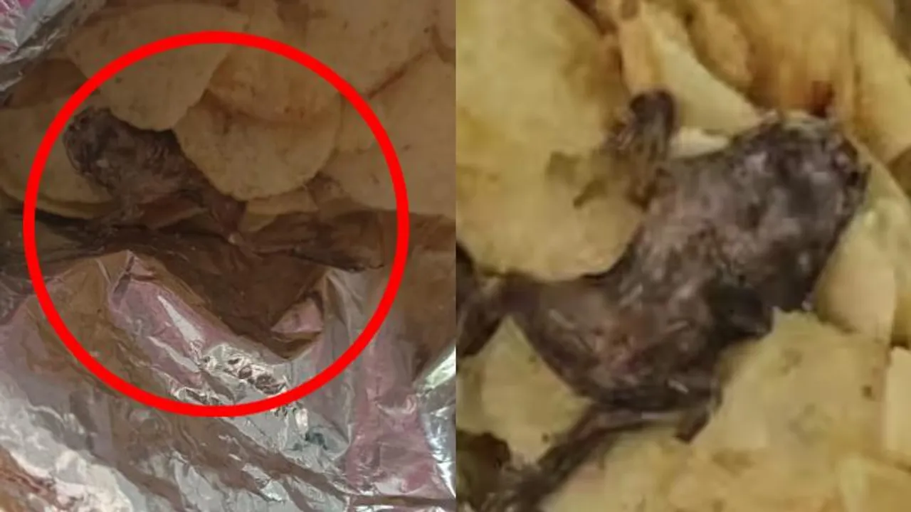 VIDEO: ಮನುಷ್ಯನ ಬೆರಳು, ಇಲಿ ಆಯ್ತು ಈಗ ಚಿಪ್ಸ್ ಪ್ಯಾಕೆಟ್‌ನಲ್ಲಿ ಕಪ್ಪೆ; ಬೆಚ್ಚಿ ಬಿದ್ದ ವ್ಯಕ್ತಿ ಮಾಡಿದ್ದೇನು?