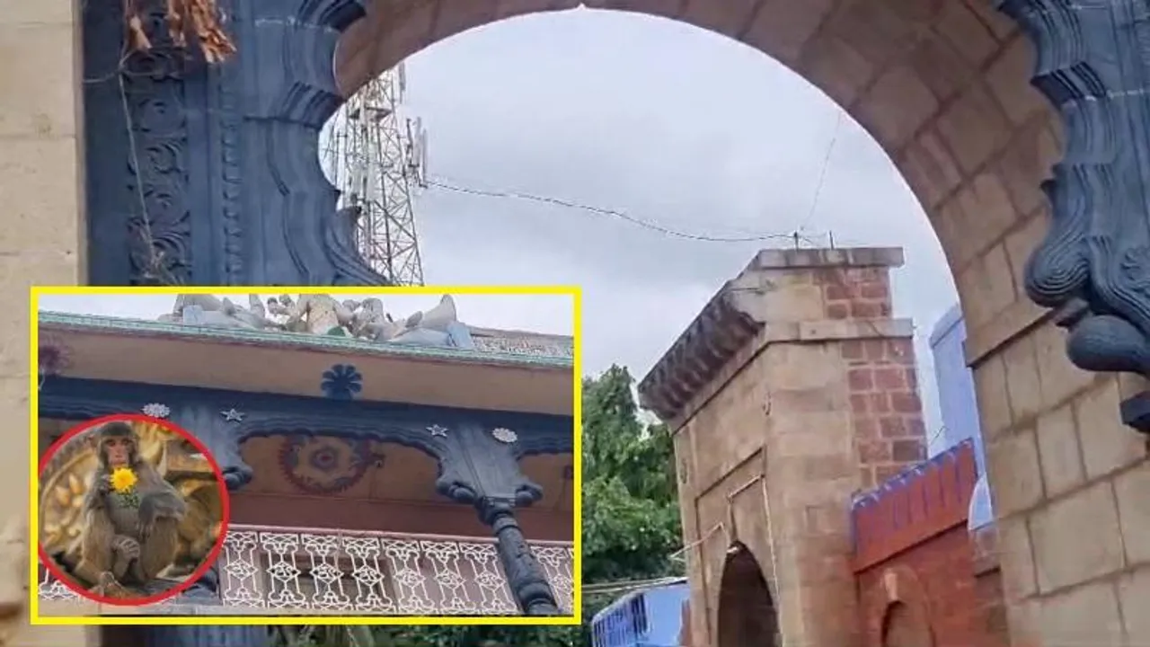 ದೇಗುಲದ ದ್ವಾರ ಬಾಗಿಲಲ್ಲೇ ಪ್ರಾಣಬಿಟ್ಟ ಮಹಿಳೆ; ಸಾವಿಗೆ ಕಾರಣ ಒಂದು ಮಂಗ..