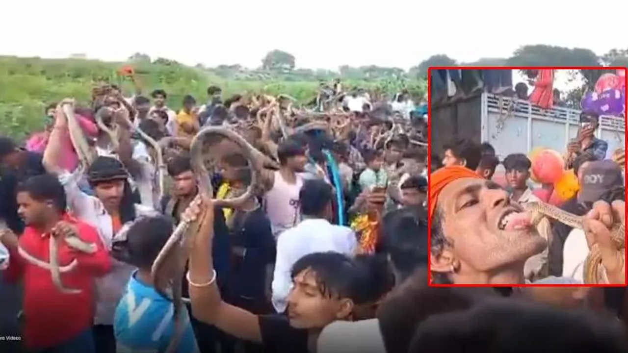 ನಾಲಿಗೆಗೆ ಕಚ್ಚೋ ನಾಗರಹಾವು.. ಕಾರ್ಕೋಟಕ ಸರ್ಪಗಳೇ ಆಟದ ವಸ್ತು; ಏನಿದರ ವಿಶೇಷ? ವಿಡಿಯೋ ನೋಡಿ