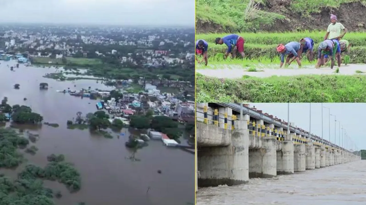 ಡ್ಯಾಂಗಳಿಂದ ಭಾರೀ ಪ್ರಮಾಣದಲ್ಲಿ ನೀರು ಬಿಡುಗಡೆ; ಈಗಷ್ಟೇ ನಾಟಿ ಶುರುಮಾಡಿದ್ದ ಅನ್ನದಾತರಿಗೆ ಸಂಕಷ್ಟ