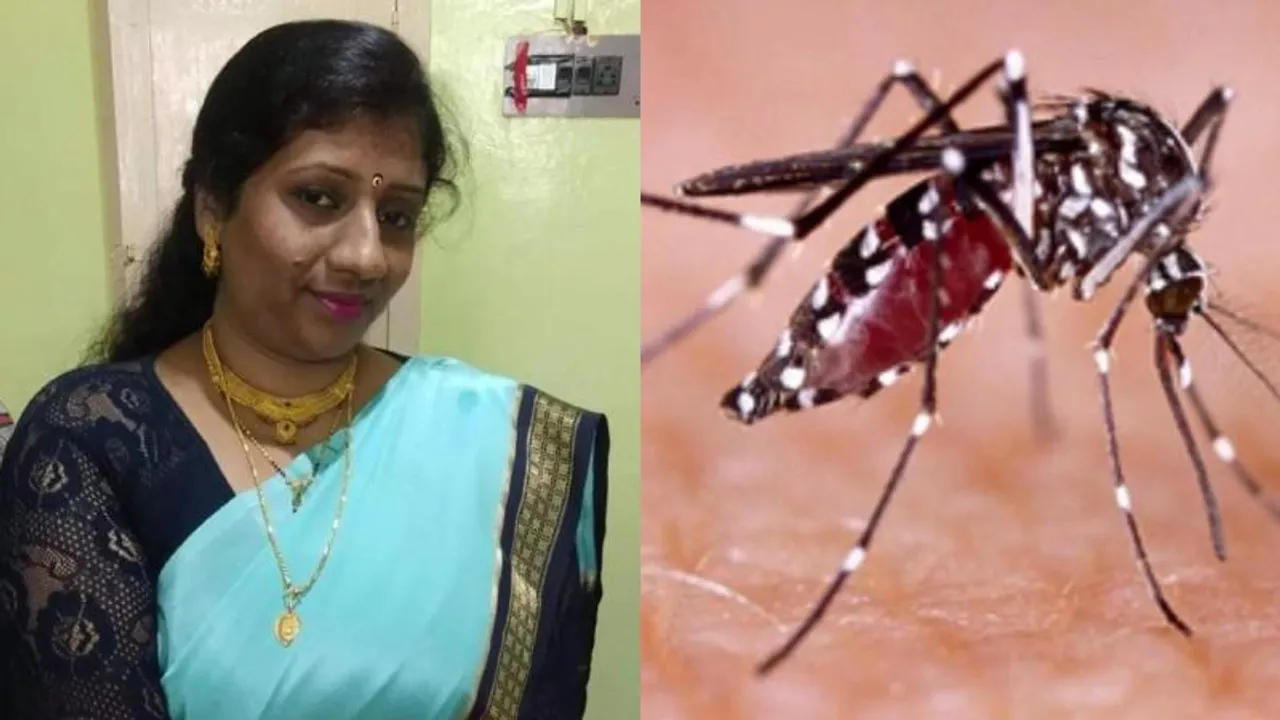 ಮೈಸೂರಲ್ಲಿ 3 ದಿನಕ್ಕೆ ಡೆಂಘೀಗೆ 2ನೇ ಬಲಿ; ಜಯದೇವ ಹೃದ್ರೋಗ ಆಸ್ಪತ್ರೆ ಸಿಬ್ಬಂದಿ ಸಾವು