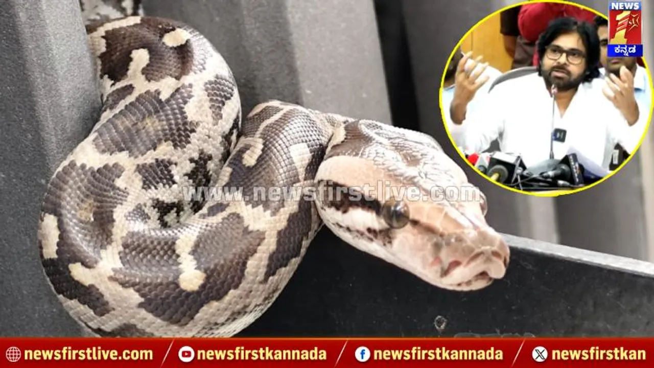 PHOTO: ಬೆಂಗಳೂರಿಗೆ ಬಂದ ಪವನ್ ಕಲ್ಯಾಣ್ ವಾಹನದಲ್ಲಿ ಹೆಬ್ಬಾವು ಪ್ರತ್ಯಕ್ಷ; ಆಮೇಲೇನಾಯ್ತು?