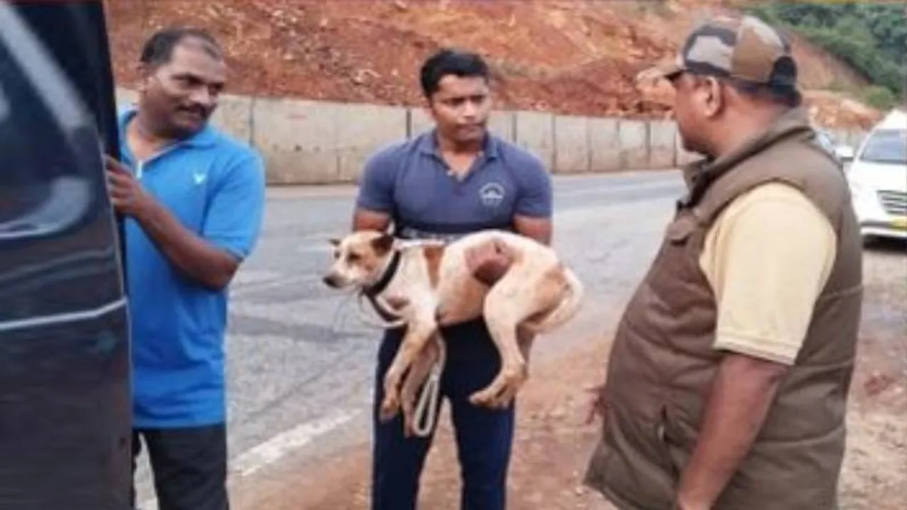ಪೊಲೀಸ್​ ಜೀಪ್​ ಏರಿದ ಶಿರೂರು ಶ್ವಾನ.. ತಬ್ಬಲಿಗಳ ರೋದನೆಗೆ ಮರುಗಿದ ಜಿಲ್ಲಾ ಪೊಲೀಸ್​ ವರಿಷ್ಠಾಧಿಕಾರಿ