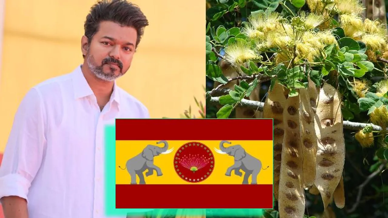 ದಳಪತಿ ವಿಜಯ್​ ಪಕ್ಷದ ಫ್ಲ್ಯಾಗ್​ನಲ್ಲಿರೋ ಹೂವು ಯಾವುದು.. ಇದರ ಮಹತ್ವ, ಇತಿಹಾಸ ಏನ್ ಹೇಳುತ್ತೆ?