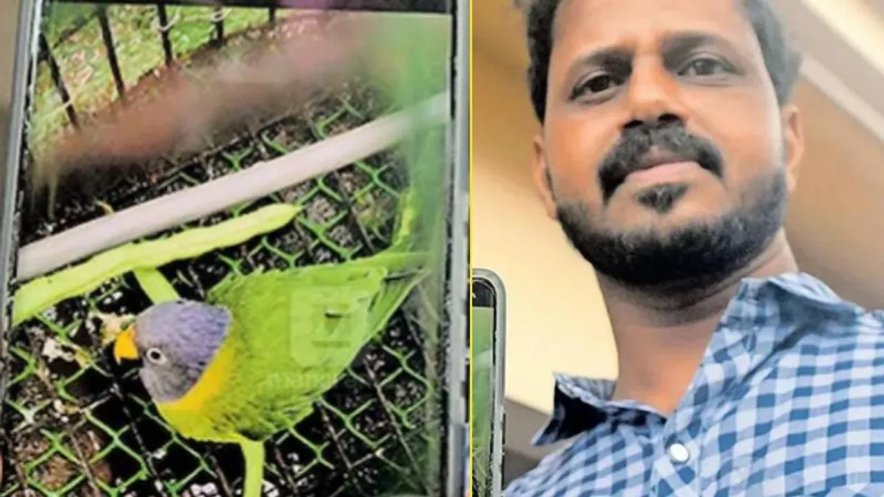 ವಯನಾಡು ದುರಂತದ ಬಗ್ಗೆ ಗಿಣಿ ಎಚ್ಚರಿಕೆ.. ಮಾಲೀಕನ ಕುಟುಂಬ, ಅವರ ಸ್ನೇಹಿತರ ಬಚಾವ್ ಮಾಡಿದ ಕಿಂಗಿಣಿ