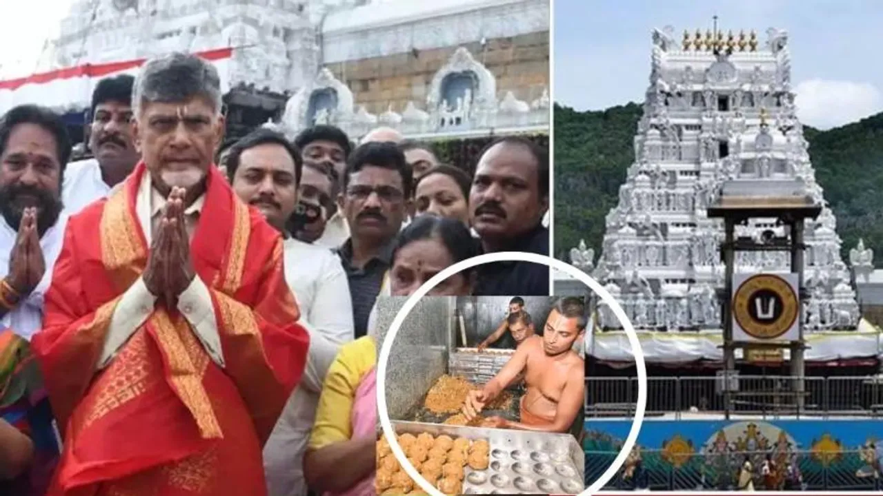 ‘ತಿರುಪತಿ ಲಡ್ಡು ಪ್ರಸಾದದಲ್ಲಿ ಪ್ರಾಣಿಗಳ ಕೊಬ್ಬು ಬಳಕೆ’ -CM ನಾಯ್ಡು ಆರೋಪ ಬೆನ್ನಲ್ಲೇ, ಭಾರೀ ವಿವಾದ