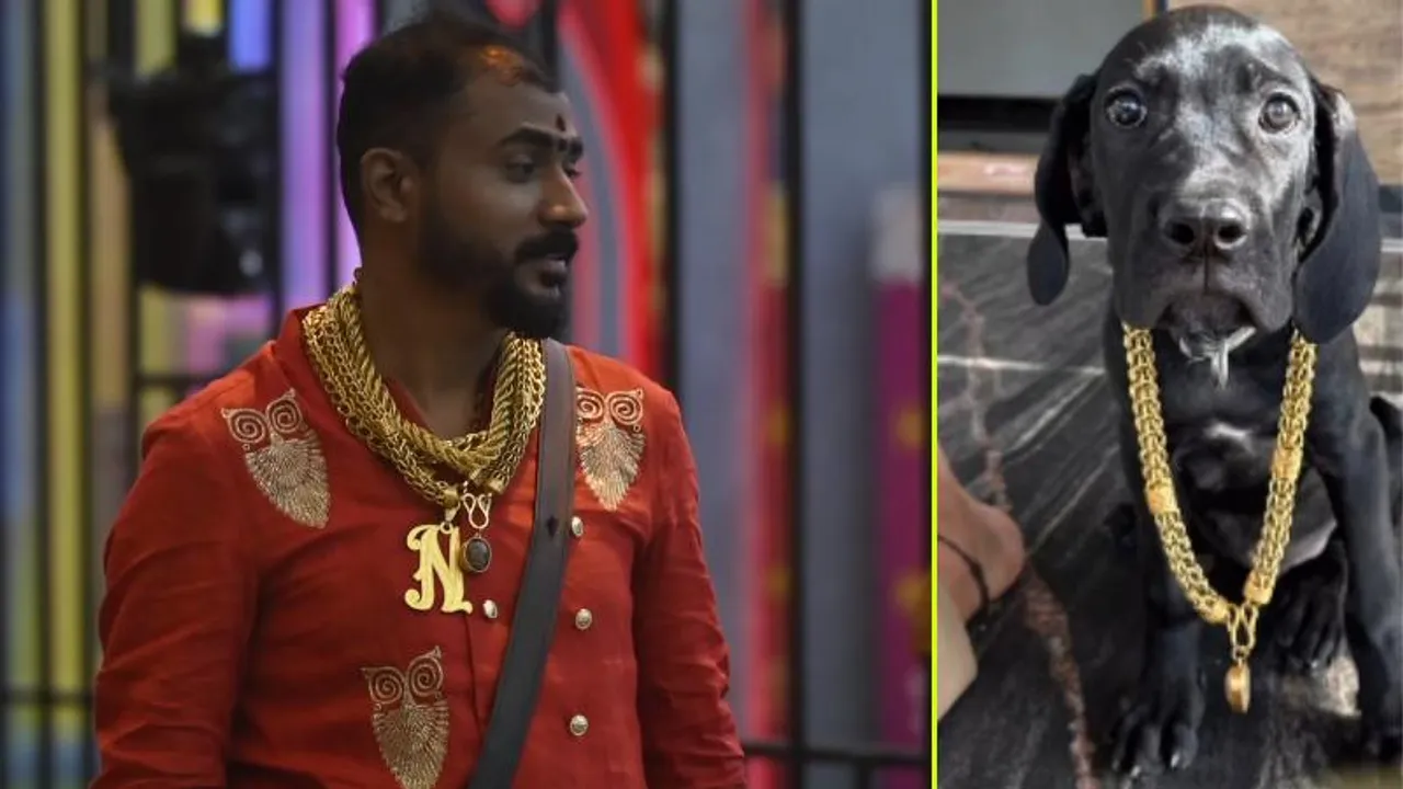 BBK11: ಮನೆ ನಾಯಿಗೆ ಚಿನ್ನದ ಸರ.. ಗೋಲ್ಡ್ ಸುರೇಶ್ ಯಾರು? ಹಿನ್ನೆಲೆ ಏನು? ಇವರ ಆಸೆ ಏನು ಗೊತ್ತಾ?