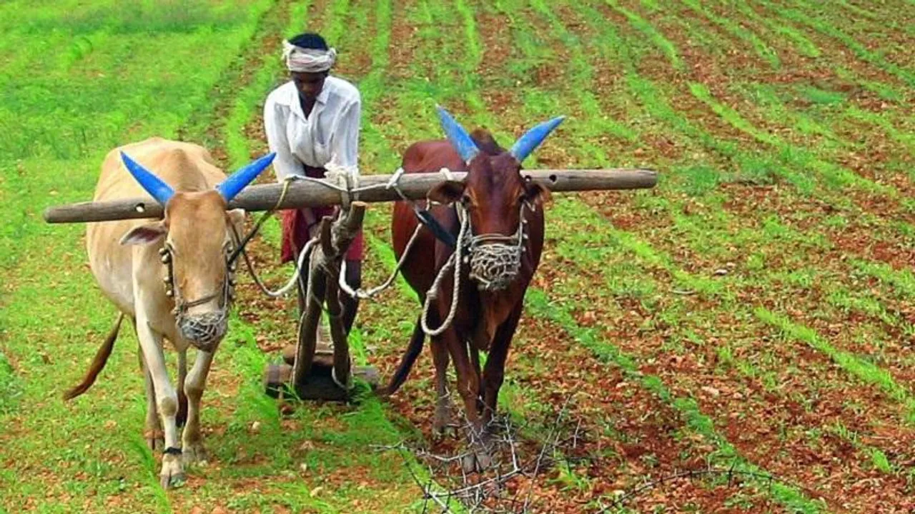 ಕೇಂದ್ರದಿಂದ ಭರ್ಜರಿ ಗುಡ್​ನ್ಯೂಸ್​​; ಇಂದೇ ರೈತರಿಗೆ ಸಿಗುತ್ತೆ 1.60 ಲಕ್ಷ; ನೀವು ಮಾಡಬೇಕಿದ್ದು ಇಷ್ಟೇ!