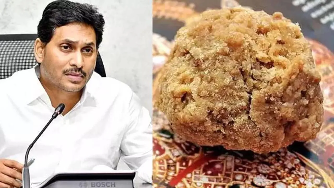 ಲಡ್ಡು ಕೊಬ್ಬು ಲಡಾಯಿ; ಆರೋಪ ಬೆನ್ನಲ್ಲೇ ಮಹತ್ವದ ನಿರ್ಣಯ ತೆಗೆದುಕೊಂಡ ಜಗನ್ ಪಕ್ಷ