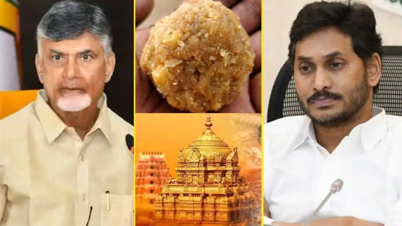 tirupati laddu: ತುಪ್ಪದಲ್ಲಿ ದನದ ಕೊಬ್ಬಿನ ತಪ್ಪು ಒಪ್ಪಿಕೊಂಡ TTD; ಮತ್ತೊಂದು ಸ್ಫೋಟಕ ಮಾಹಿತಿ ಬಹಿರಂಗ