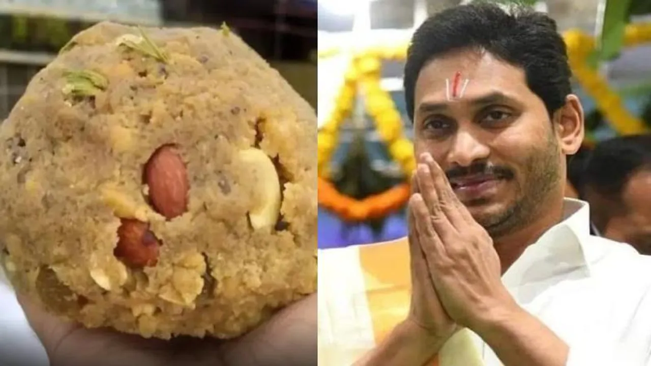 ಮೀನಿನ ಎಣ್ಣೆ, ಪ್ರಾಣಿಗಳ ಕೊಬ್ಬು.. ತುಪ್ಪದಲ್ಲಿ ಕಲಬೆರಕೆ ಬೆರೆಸಿದ್ದು ಯಾರು? ಇಲ್ಲಿದೆ ಅಸಲಿ ವಿಷ್ಯ!