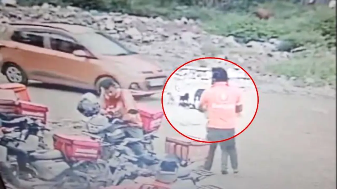 ಬೆಂಗಳೂರು: ಶ್ವಾನದ ಮರಿಗಳ ಮೇಲೆ ಕಾರು ಚಲಾಯಿಸಿ ಅಟ್ಟಹಾಸ.. ಸಿಸಿಟಿವಿಯಲ್ಲಿ ದೃಶ್ಯ ಸೆರೆ