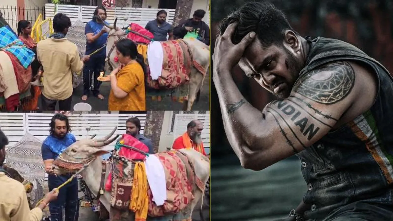 ಪ್ರಿನ್ಸ್​​ಗೆ ಮಾರ್ಟಿನ್ ರಿಲೀಸ್ ಸಂಭ್ರಮ.. ಮನೆಗೆ ಬಂದಿದ್ದ ಗೋವುಗಳಿಗೆ ಪೂಜೆ.. ತಾಯಿ ಆಶೀರ್ವಾದ ಪಡೆದ ಧ್ರುವ