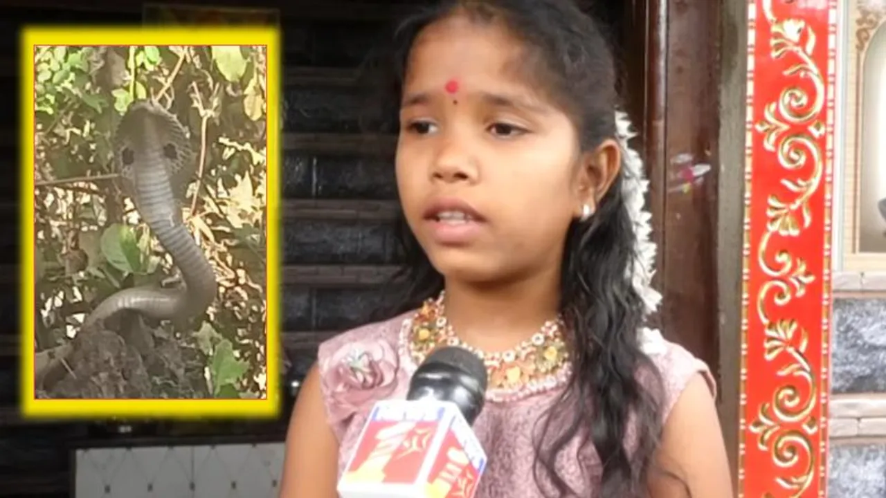 ಹಾವು ಕೊಂ*ದ 24 ಗಂಟೆಯಲ್ಲೇ ಗುಡಿ ನಿರ್ಮಾಣ.. ಆದ್ರೂ  ಮಕ್ಕಳಿಗೆ ಪದೇ ಪದೆ ಸರ್ಪ ಕಾಣುತ್ತಿರುವುದು ಏಕೆ?