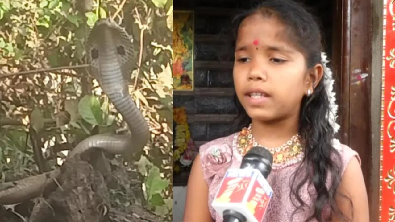 ಗಂಡು ಸರ್ಪ ಕೊಂದಿದ್ದಕ್ಕೆ ಸೇಡು.. ನಾಗದೇವತೆಯೇ ಪ್ರತ್ಯಕ್ಷವಾಗಿ ಗುಡಿ ಕಟ್ಟಿಸಲು ಬಾಲಕಿಗೆ ಹೇಳಿತ್ತಾ?