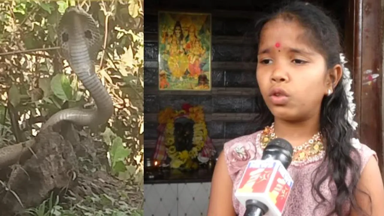 ಕೊಂದು ಸುಟ್ರೂ ಸುಡದ ಸರ್ಪ.. ಗಂಡು ಹಾವು ಸಾಯಿಸಿದ್ದಕ್ಕೆ ಹೆಣ್ಣು ಹಾವಿನಿಂದ ಸೇಡು; ಏನಿದು ದೈವ ಪವಾಡ?
