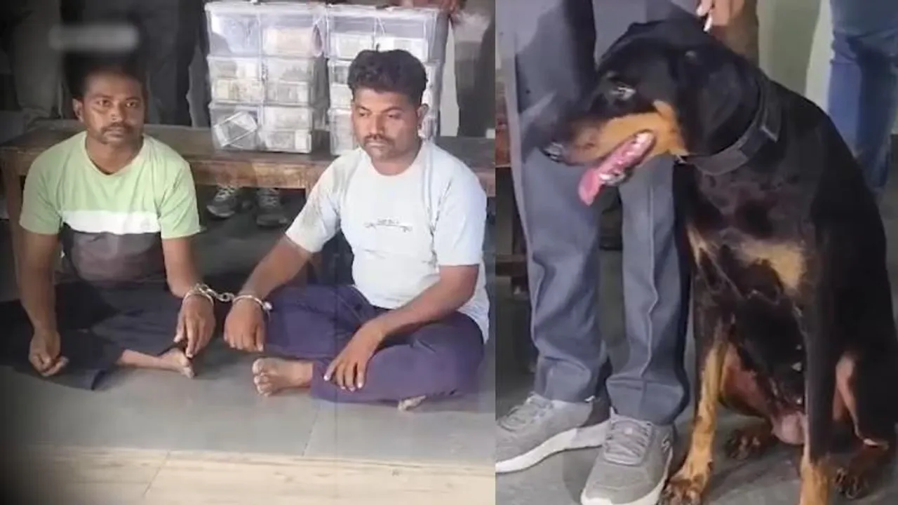 ₹1 ಕೋಟಿ ಕದ್ದ ಕಳ್ಳರನ್ನ ಹಿಡಿದುಕೊಟ್ಟ ಪೆನ್ನಿ.. ಪೊಲೀಸ್ ಡಾಗ್‌ ಸಾಹಸದ ಕಥೆ ಕೇಳಿದ್ರೆ ಶಾಕ್ ಆಗ್ತೀರಾ!