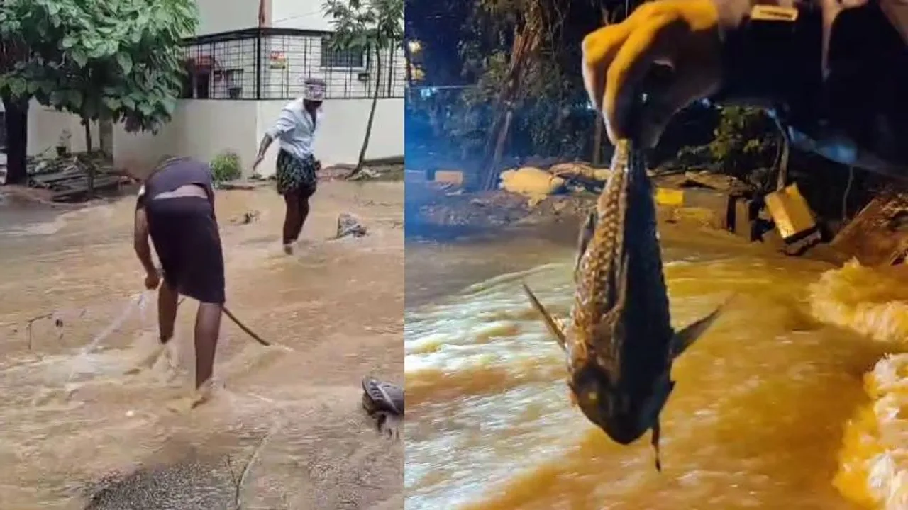 ಬೆಂಗಳೂರು ರಸ್ತೆಗಳಲ್ಲಿ ಮೀನುಗಳು! ಬಲೆ ಹಾಕಿದ ಜನ; ರಣ ಮಳೆಯ ಅನಾಹುತದ 10 ಫೋಟೋಗಳು..!