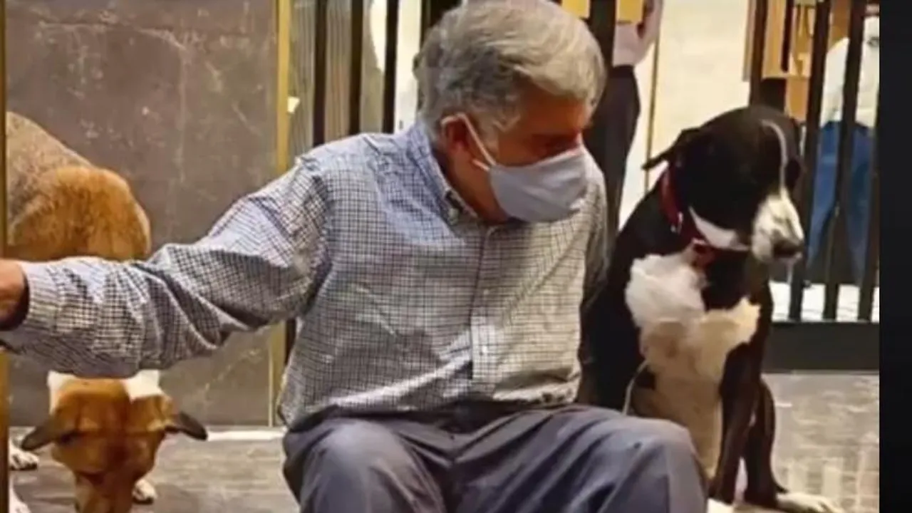 ರತನ್ ಟಾಟಾ ಅವರ ಮುದ್ದಿನ ಶ್ವಾನ ‘ಗೋವಾ‘ಗೆ ಏನಾಯ್ತು? ಪೊಲೀಸ್ ಅಧಿಕಾರಿಯಿಂದ ಸತ್ಯ ಬಯಲು