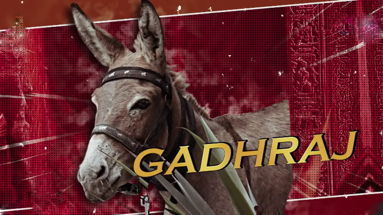 ಇತಿಹಾಸದಲ್ಲೇ ಮೊದಲು.. ಬಿಗ್​ಬಾಸ್ ಕಂಟೆಸ್ಟಂಟ್ ಆಗಿ​ ಮನೆಗೆ ಎಂಟ್ರಿ ಕೊಟ್ಟ ಕತ್ತೆ; ಏನಿದರ ಗುಟ್ಟು?