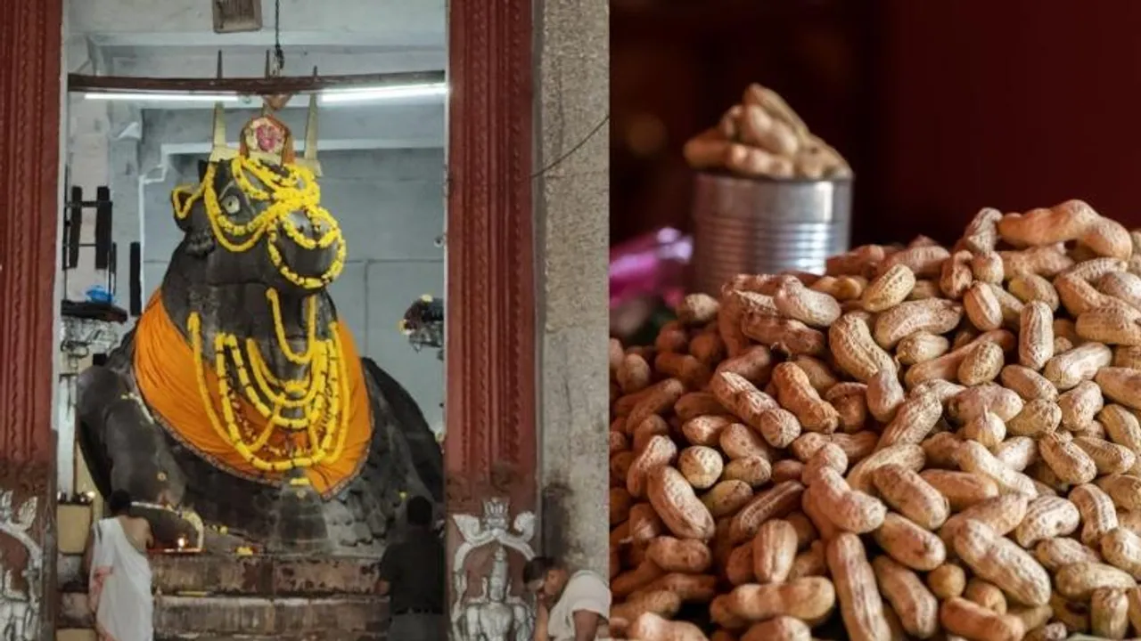 ಐತಿಹಾಸಿಕ ಕಡಲೆಕಾಯಿ ಪರಿಷೆ ಇಂದಿನಿಂದ ಆರಂಭ; ಕಳೆಗಟ್ಟಿದ ಬಸವನಗುಡಿ, ಉತ್ಸಾಹದಲ್ಲಿ ಸಿಲಿಕಾನ್ ಸಿಟಿ ಜನರು