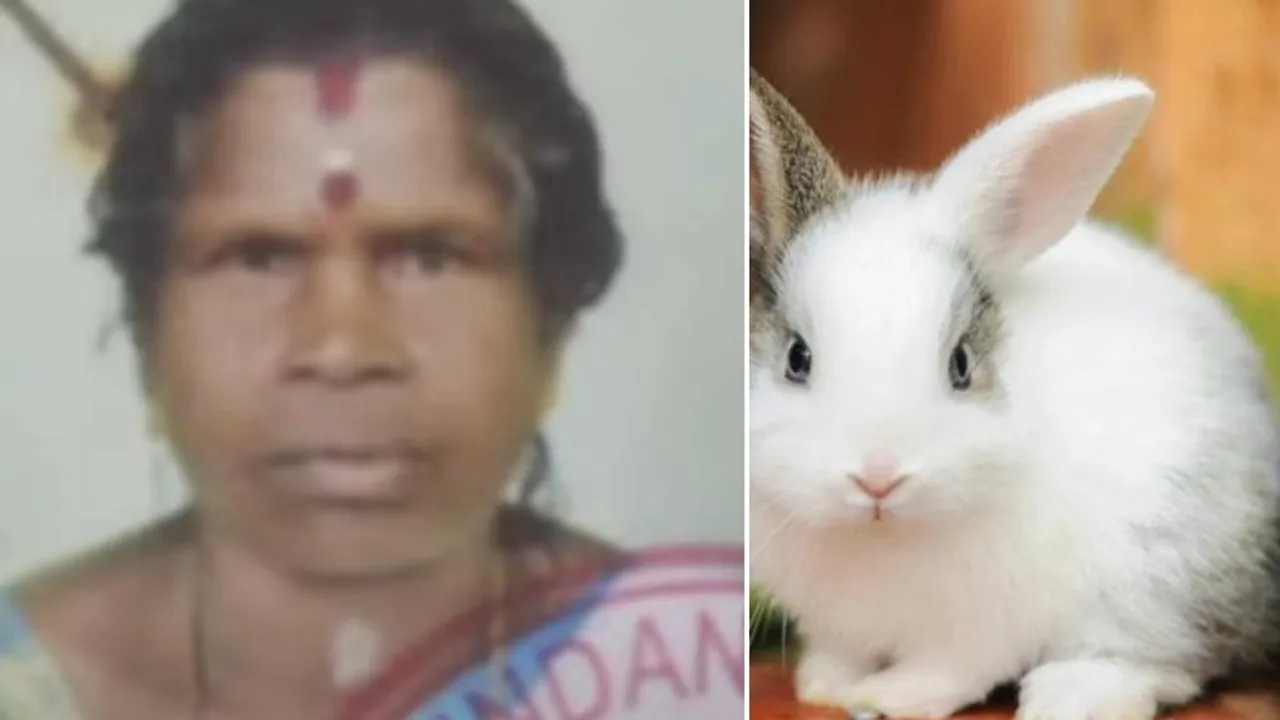 ಅಯ್ಯೋ ಪಾಪ.. ಮುದ್ದಿನ ಮೊಲ ಕಚ್ಚಿ ಪ್ರಾಣಬಿಟ್ಟ ಮಹಿಳೆ; ಅಸಲಿಗೆ ಆಗಿದ್ದೇನು..?