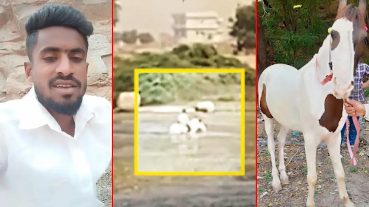 ಸ್ನಾನ ಮಾಡಿಸಲು ಹೋಗಿ ಯುವಕ ನೀರು ಪಾಲು; ಪವಾಡ ರೀತಿಯಲ್ಲಿ ಮನೆ ಸೇರಿದ ಕುದುರೆ!