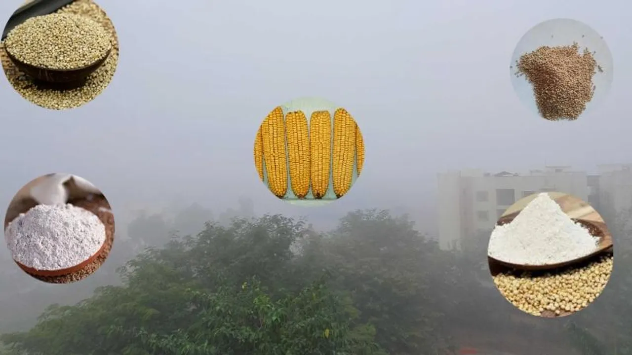 ಜೋಳದಿಂದ ನವಣೆವರೆಗೆ; ಚಳಿಗಾಲದಲ್ಲಿ ಯಾವ ಧಾನ್ಯದ ಹಿಟ್ಟು ಉಪಯೋಗಿಸುವುದು ಉತ್ತಮ? ಇಲ್ಲಿದೆ ಸಂಪೂರ್ಣ ಮಾಹಿತಿ
